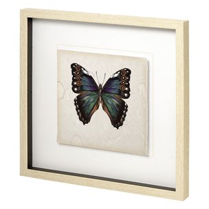 Butterfly Study III by Melissa Wang a Hand Embellished Textured Framed Art Print Matted under Glass