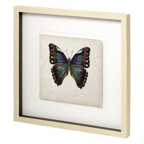 11349 - Butterfly Study III by Melissa Wang a Hand Embellished Textured Framed Art Print Matted under Glass