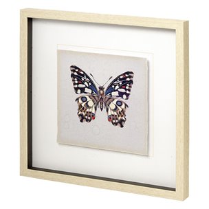 Butterfly Study II by Melissa Wang a Hand Embellished Textured Framed Art Print Matted under Glass