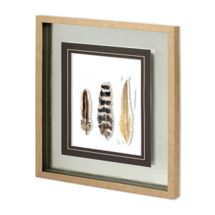 Watercolor Plumes II by Grace Popp a Hand Embellished Textured Framed Art Print Matted under Glass