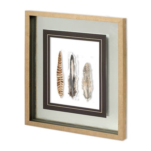 Watercolor Plumes I by Grace Popp a Hand Embellished Textured Framed Art Print Matted under Glass