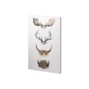 Horn & Tail Study II by Mercana Studio a Hand Embellished Textured Canvas
