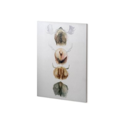 100730-S - Horn & Tail Study I by Mercana Studio a Hand Embellished Textured Canvas