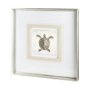 12039 - Vintage Sea Turtle by Mercana Studio a Framed Art Print Matted under Glass