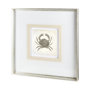 12040 - Vintage Crab by Mercana Studio a Framed Art Print Matted under Glass