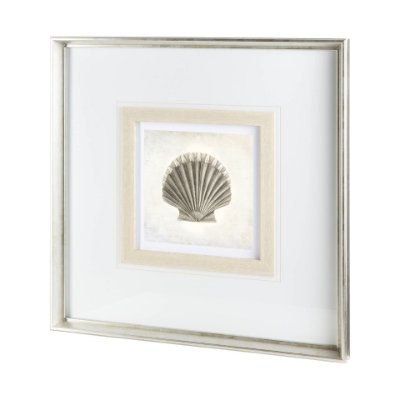 12041 - Vintage Scallop Shell by Mercana Studio a Framed Art Print Matted under Glass