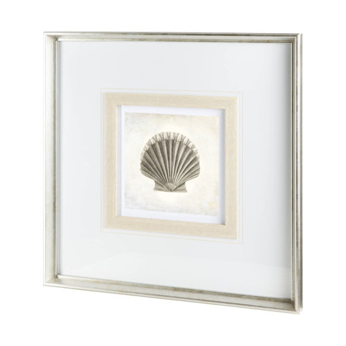 12041 - Vintage Scallop Shell by Mercana Studio a Framed Art Print Matted under Glass