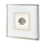 12041 - Vintage Scallop Shell by Mercana Studio a Framed Art Print Matted under Glass