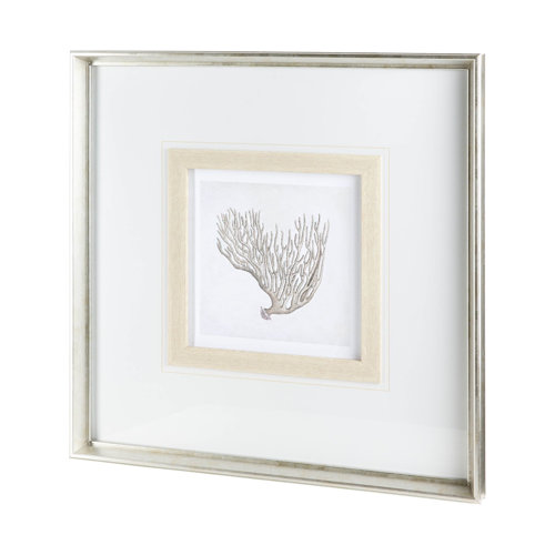 12038 - Vintage Coral II by Mercana Studio a Framed Art Print Matted under Glass