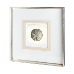 Vintage Sand Dollar by Mercana Studio a Framed Art Print Matted under Glass