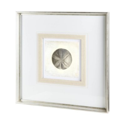12042 - Vintage Sand Dollar by Mercana Studio a Framed Art Print Matted under Glass