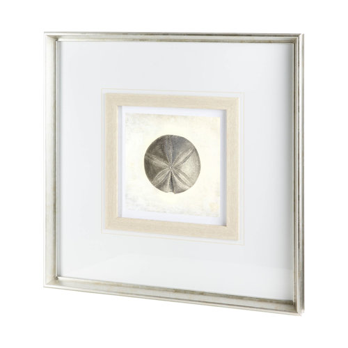 12042 - Vintage Sand Dollar by Mercana Studio a Framed Art Print Matted under Glass