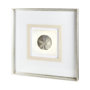 12042 - Vintage Sand Dollar by Mercana Studio a Framed Art Print Matted under Glass