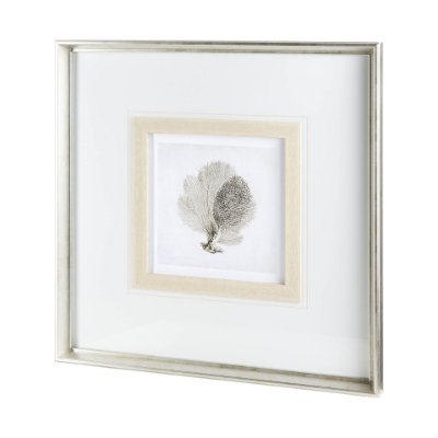 12037 - Vintage Coral I by Mercana Studio a Framed Art Print Matted under Glass