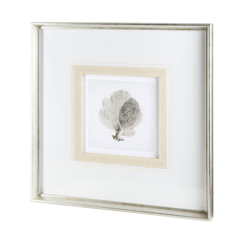 12037 - Vintage Coral I by Mercana Studio a Framed Art Print Matted under Glass