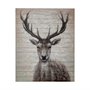 67717 - White Tail II 48x60 Deer Original Hand Painted on Wood Oil Painting 