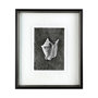 12036 - Dark Coastal II by Mercana Studio a Hand Embellished Textured Framed Art Print Matted under Glass