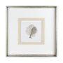 12037 - Vintage Coral I by Mercana Studio a Framed Art Print Matted under Glass