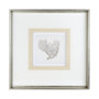 12038 - Vintage Coral II by Mercana Studio a Framed Art Print Matted under Glass