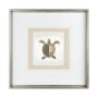 12039 - Vintage Sea Turtle by Mercana Studio a Framed Art Print Matted under Glass