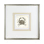 12040 - Vintage Crab by Mercana Studio a Framed Art Print Matted under Glass