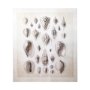 100925-L - Ocean Shell Collection I by Christopher James a Hand Embellished Textured Canvas