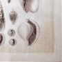 100925-L - Ocean Shell Collection I by Christopher James a Hand Embellished Textured Canvas