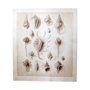 100926-L - Ocean Shell Collection II by Christopher James a Hand Embellished Textured Canvas