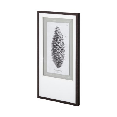 12059 - Pinus Australis by Maria Mendez a Framed Art Print Matted under Glass