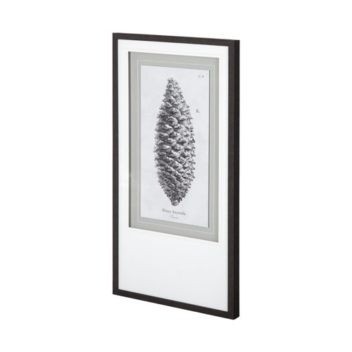12059 - Pinus Australis by Maria Mendez a Framed Art Print Matted under Glass