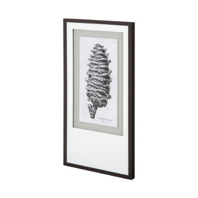 12060 - Swedish Juniper by Maria Mendez a Framed Art Print Matted under Glass