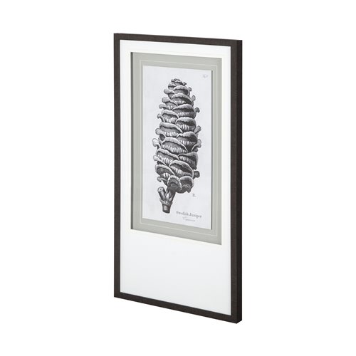 12060 - Swedish Juniper by Maria Mendez a Framed Art Print Matted under Glass