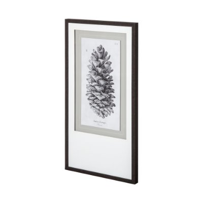 12058 - Larix Europa by Maria Mendez a Framed Art Print Matted under Glass