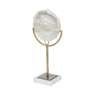 Sandy III (Large) 8L x 4W White Coastal Sand Dollar Object