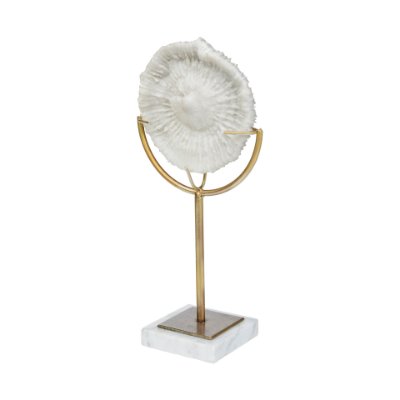 67984 - Sandy III (Large) 8L x 4W White Coastal Sand Dollar Object