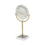 67984 - Sandy III (Large) 8L x 4W White Coastal Sand Dollar Object