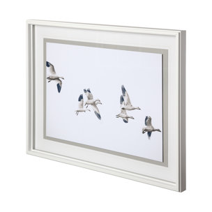 Winged Migration by Nancy Crowell a Framed Photo Art Print Matted under Glass