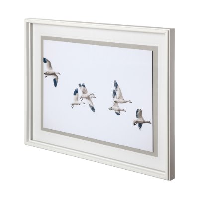 12068 - Winged Migration by Nancy Crowell a Framed Photo Art Print Matted under Glass