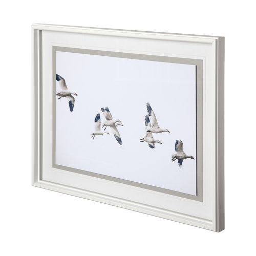 12068 - Winged Migration by Nancy Crowell a Framed Photo Art Print Matted under Glass