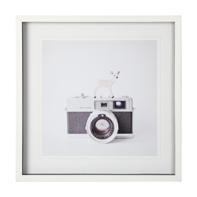 12076 - Deer & Vintage Camera by Susannah Tucker Photography a Framed Photo Art Print Matted under Glass