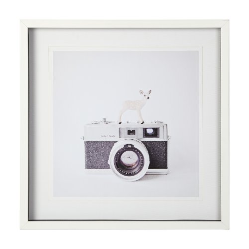 12076 - Deer & Vintage Camera by Susannah Tucker Photography a Framed Photo Art Print Matted under Glass