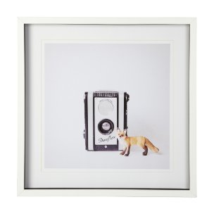 Fox & Vintage Camera by Susannah Tucker Photography a Framed Photo Art Print Matted under Glass