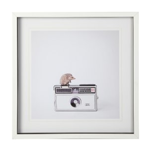 Hedgehog & Vintage Camera by Susannah Tucker Photography a Framed Photo Art Print Matted under Glass