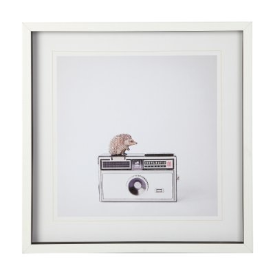 12078 - Hedgehog & Vintage Camera by Susannah Tucker Photography a Framed Photo Art Print Matted under Glass