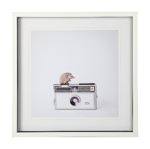 12078 - Hedgehog & Vintage Camera by Susannah Tucker Photography a Framed Photo Art Print Matted under Glass