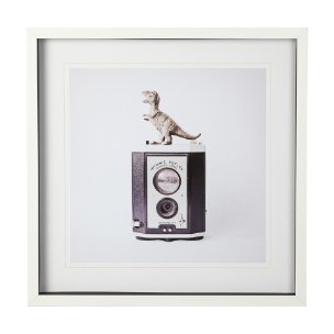 T-rex & Vintage Camera by Susannah Tucker Photography a Framed Photo Art Print Matted under Glass