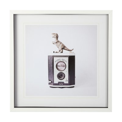 12079 - T-rex & Vintage Camera by Susannah Tucker Photography a Framed Photo Art Print Matted under Glass