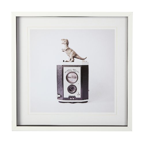 12079 - T-rex & Vintage Camera by Susannah Tucker Photography a Framed Photo Art Print Matted under Glass