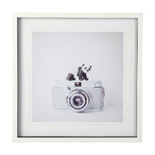 Panda & Vintage Camera by Susannah Tucker Photography a Framed Photo Art Print Matted under Glass