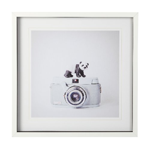 12080 - Panda & Vintage Camera by Susannah Tucker Photography a Framed Photo Art Print Matted under Glass
